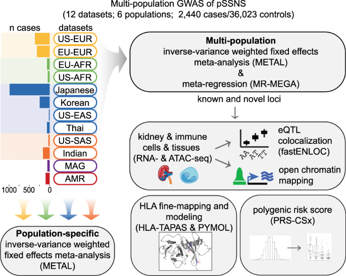 Fig. 1: Flowchart of study design.