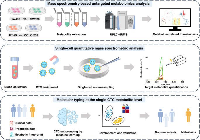 Fig. 1: Schematic workflow of circulating tumor cell (CTC) subgrouping and colorectal cancer metastasis prediction using home-built single-cell quantitative mass spectrometry platform.