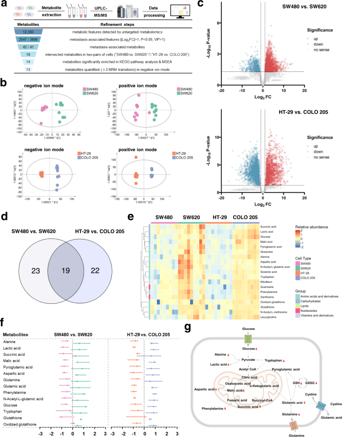 Fig. 2: Metabolic profiling of colorectal cell lines with differential metastatic potential by mass spectrometry-based untargeted metabolomic analysis.
