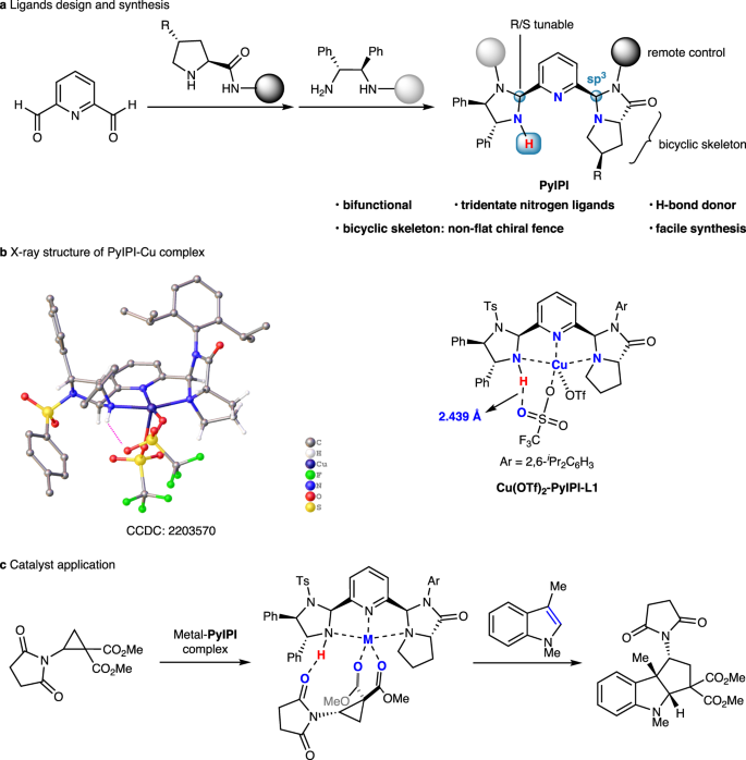 Fig. 2: Design, synthesis, and application of PyIPI ligands.