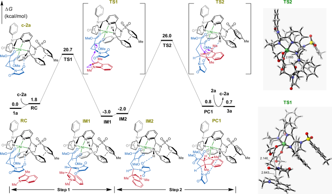Fig. 7: Catalytic reaction pathway.