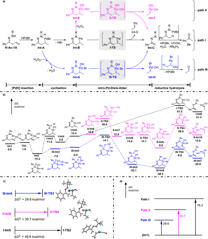 Fig. 5: Mechanism investigation.