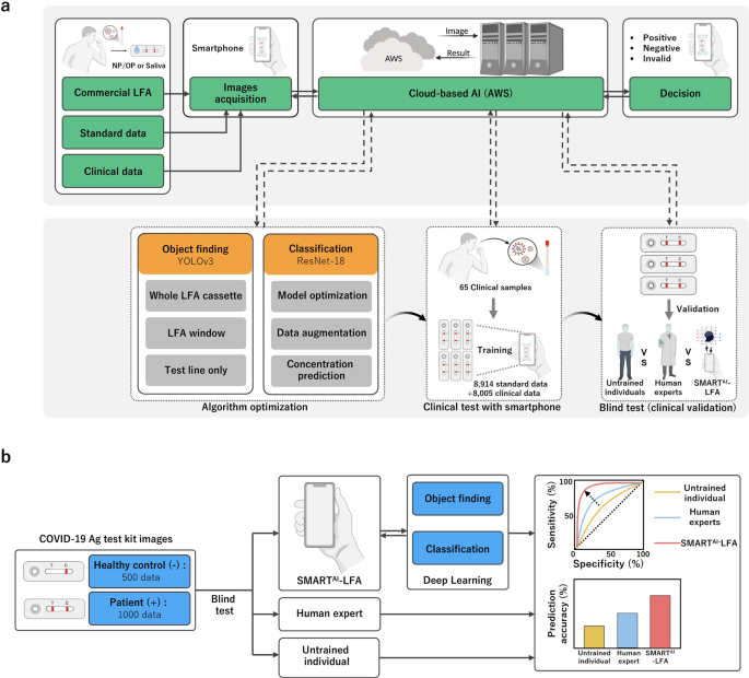 Fig. 1: Workflow of SMARTAI-LFA for COVID-19 diagnostics.