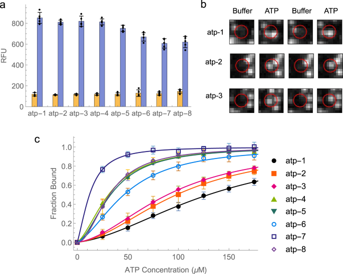 Fig. 3: Identification and characterization of ATP aptamer switches.