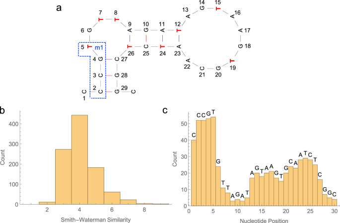 Fig. 4: Analysis of the top 1000 unique glucose SD sequences.