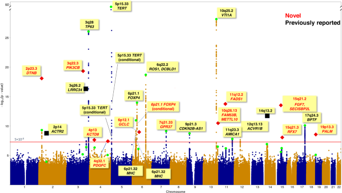 Fig. 1: Manhattan plot for GWAS meta-analysis of lung adenocarcinoma in East Asians.