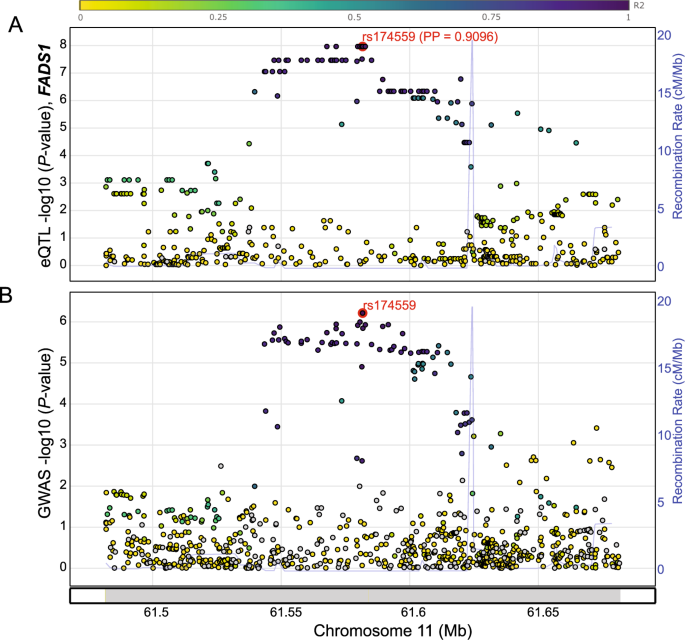 Fig. 2: Colocalization of lung adenocarcinoma GWAS signal from the new locus on Chr11 with FADS1 eQTL signal.