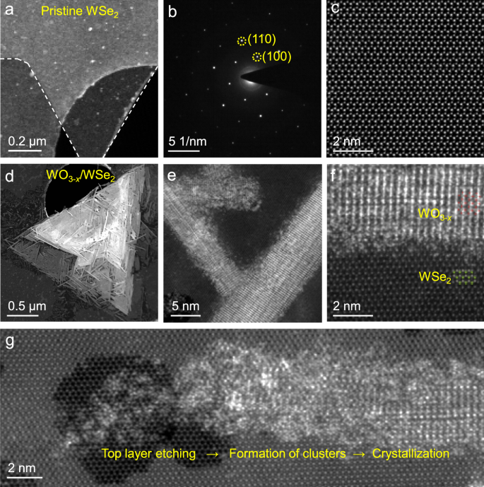 Fig. 2: Transmission electron microscope (TEM) characterizations of pristine WSe2 and 1D/2D WO3-x/WSe2 heterostructures.