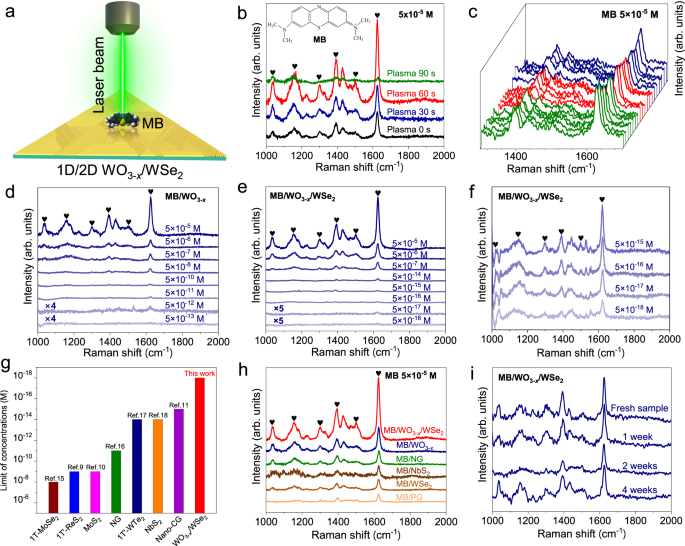 Fig. 3: Surface-enhanced Raman scattering (SERS) performance of 1D/2D WO3-x/WSe2 heterostructures.