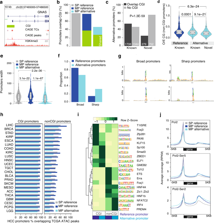 PDF) Intra-promoter switch of transcription initiation sites in