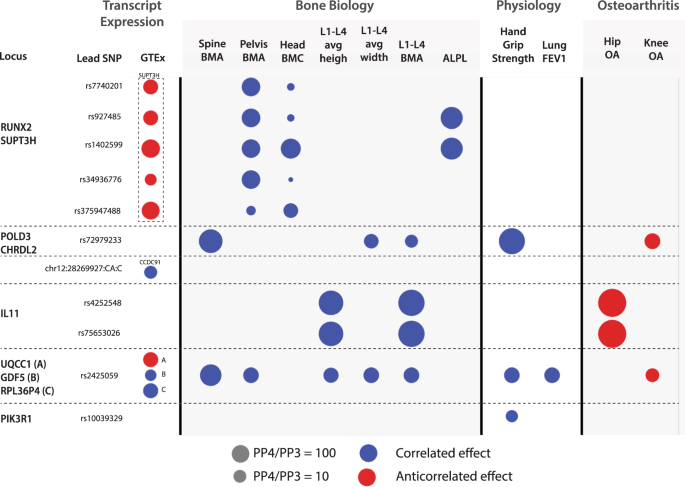 Fig. 5: Genetic Colocalization Analysis.