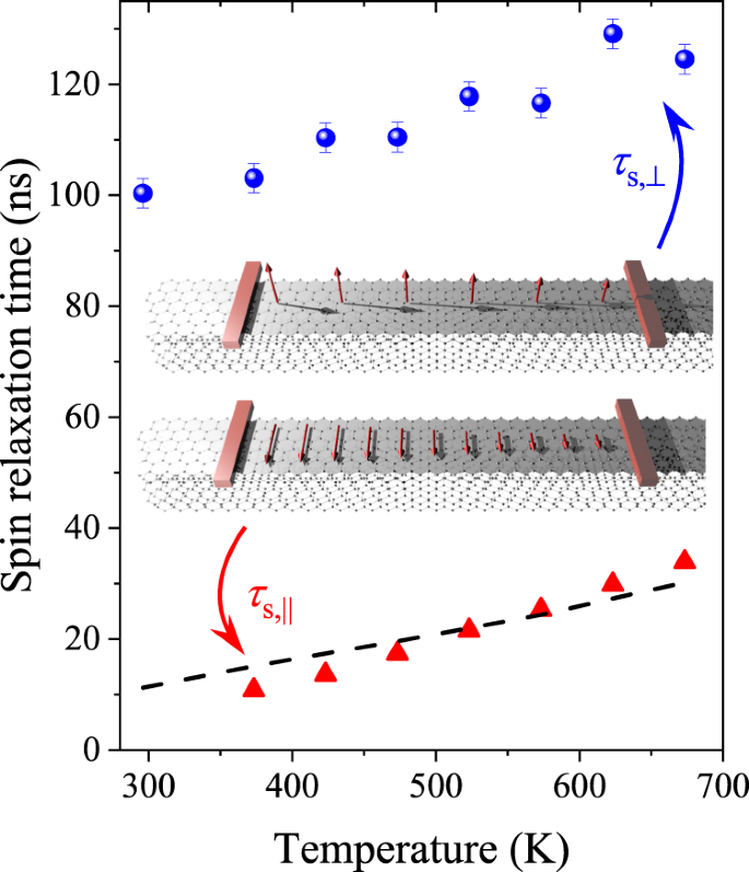 Fig. 4: The spin-lattice relaxation time, T1, for the two orientations of the magnetic field (red triangles: B∥, blue dots: B⊥) in graphite as a function of temperature.