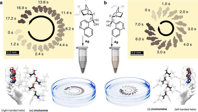 Fig. 1: Chimot synthesis and operation.