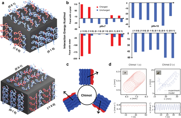 Fig. 3: Model and simulations.