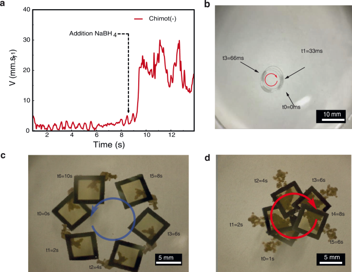 Fig. 4: Dynamics of chimots.