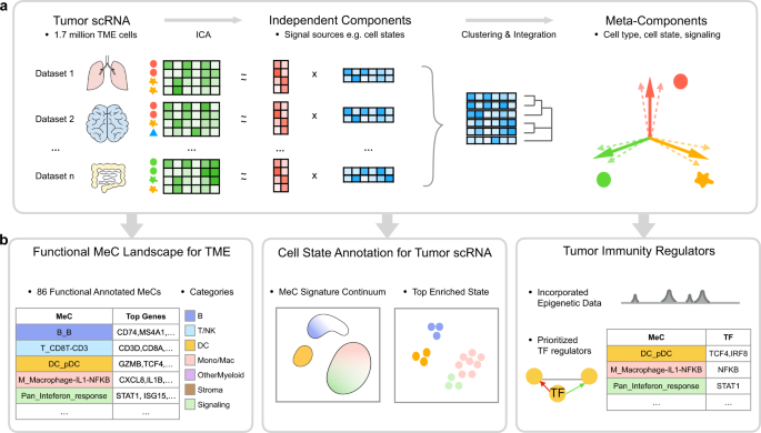 Fig. 1: Overview of MetaTiME.