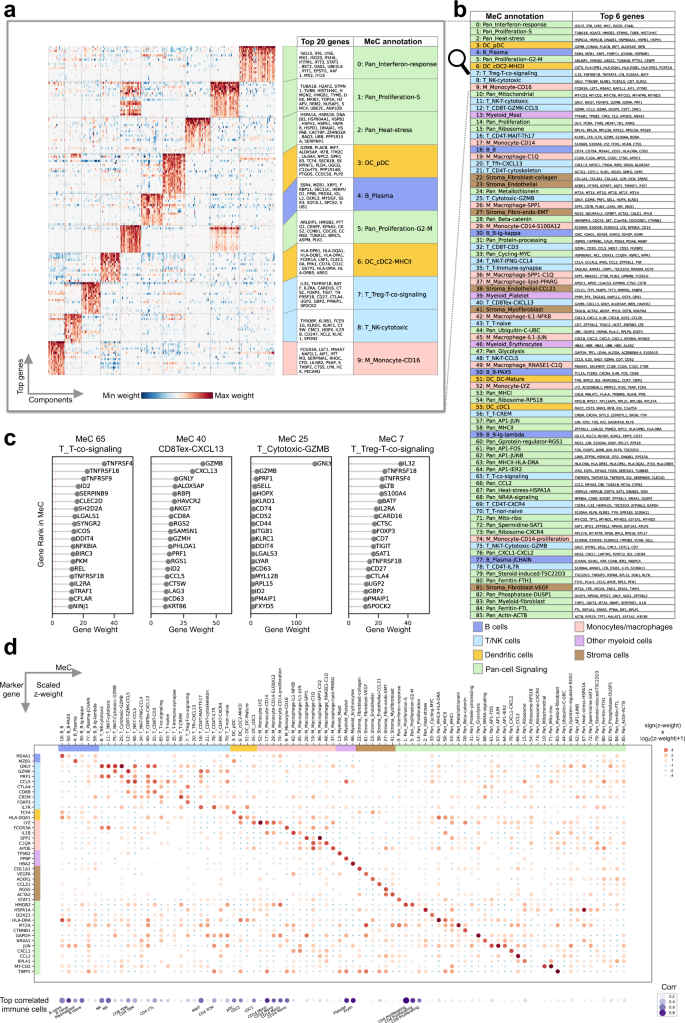 Fig. 2: MetaTiME meta-components are biologically interpretable with top genes.