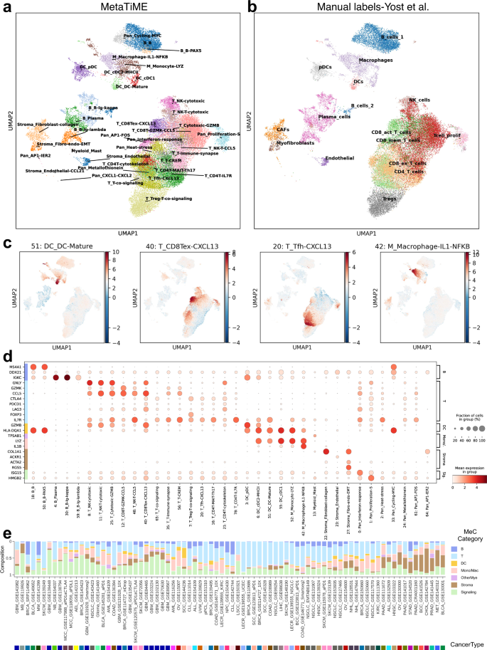 Fig. 3: MetaTiME annotates cell states with high resolution on tumor microenvironment single-cell data.