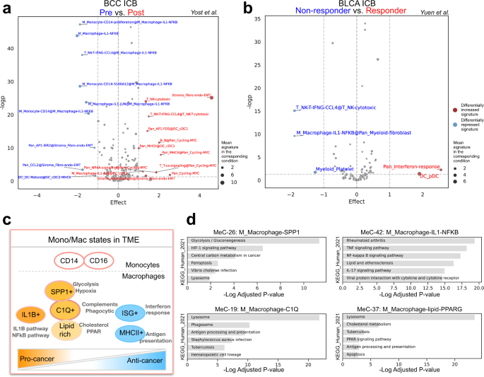 Fig. 4: Differential signature analysis and delineated macrophage states in TME.