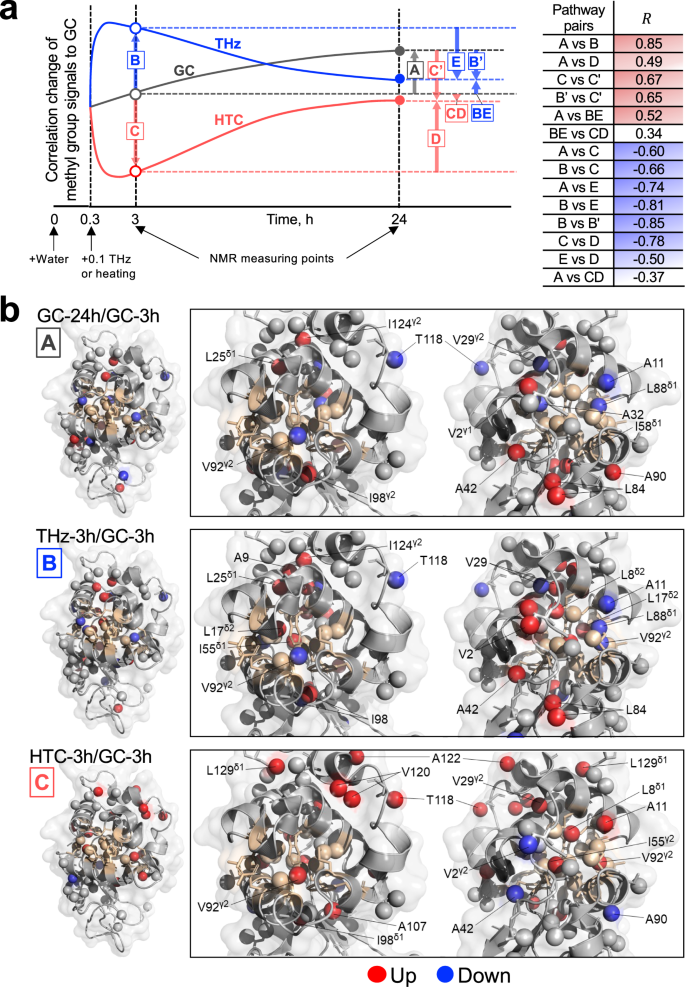 Fig. 6: NMR spectral analysis of lysozyme.