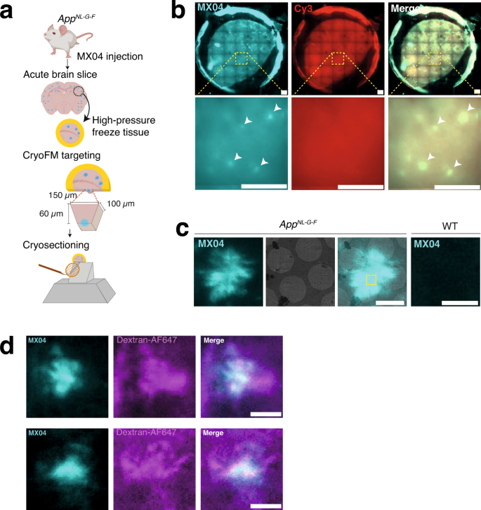 Molecules  October-1 2020 - Browse Articles