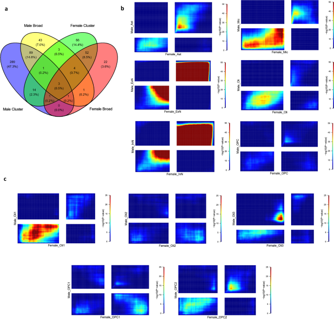 Cell type specific transcriptomic differences in depression show similar  patterns between males and females but implicate distinct cell types and  genes