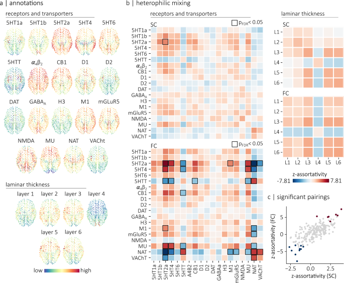 Fig. 5: Heterophilic mixing.