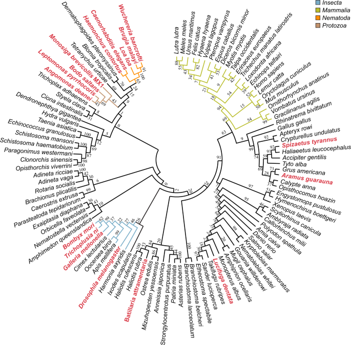 Fig. 1: Evolutionary analysis of HPF domain.