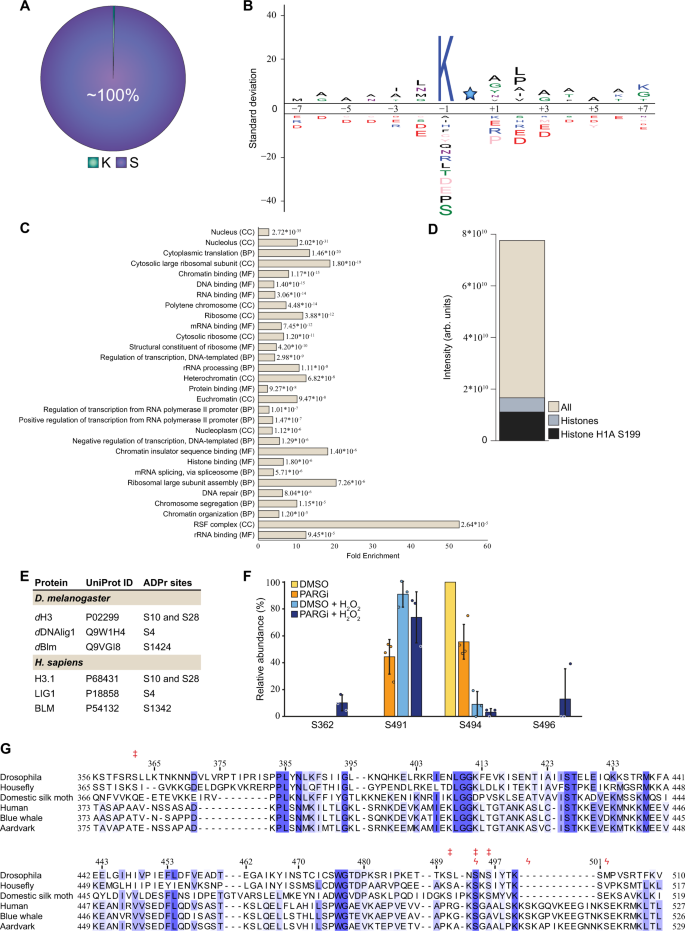 Fig. 4: Site-specific properties of the ADP-ribosylome.