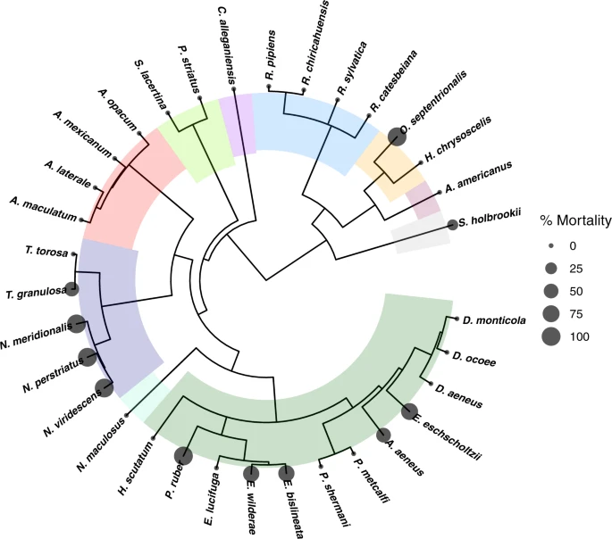 https://media.springernature.com/lw685/springer-static/image/art%3A10.1038%2Fs41467-023-38979-4/MediaObjects/41467_2023_38979_Fig1_HTML.png?as=webp