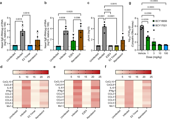 Fig. 5: Bicycles inhibit SARS-CoV-2 replication in vivo.
