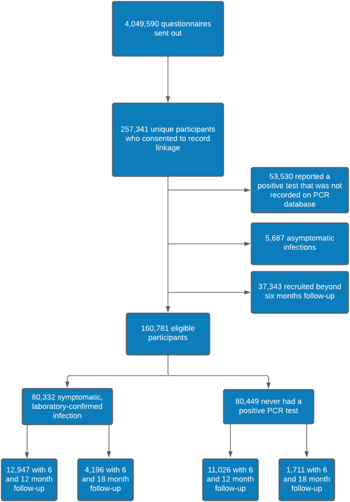 Fig. 1: Participant flow diagram.