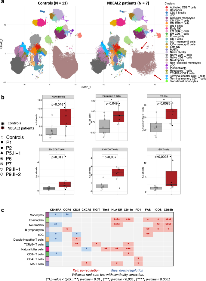 Fig. 2: Immunophenotyping of patients with GPS.