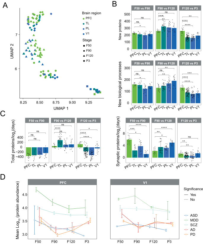Fig. 5: Dynamic proteomic changes in cortical regions.