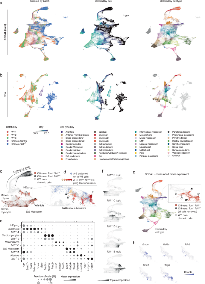 Fig. 6: Re-analysis of mouse embryo differentiation using CODAL reveals new cell types in Tal1 knockout chimera.