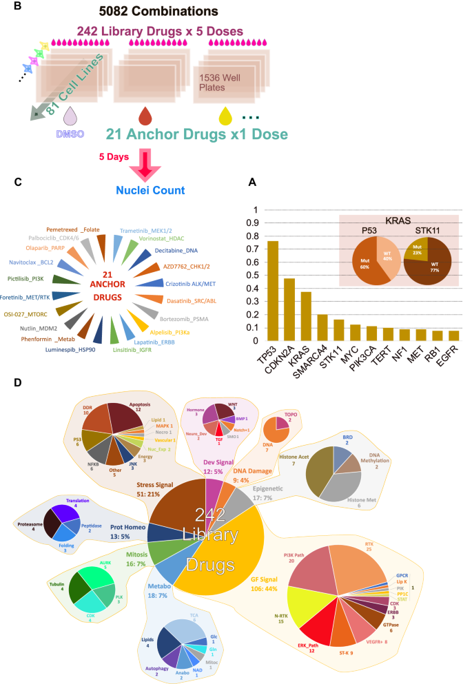 Fig. 1: Overview of the study screening strategy.
