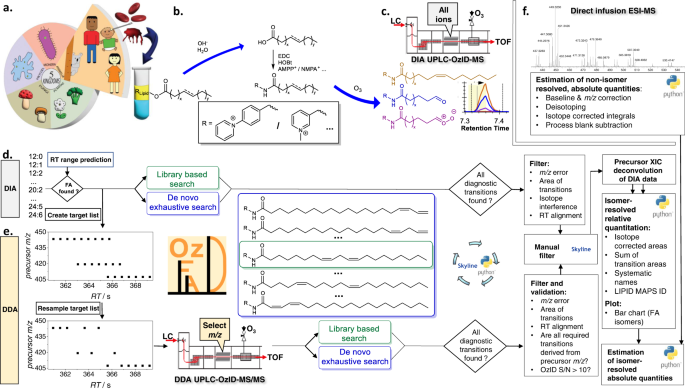 Fig. 1: OzFAD: A de novo workflow for semi-automated fatty acid analysis with isomer resolution.