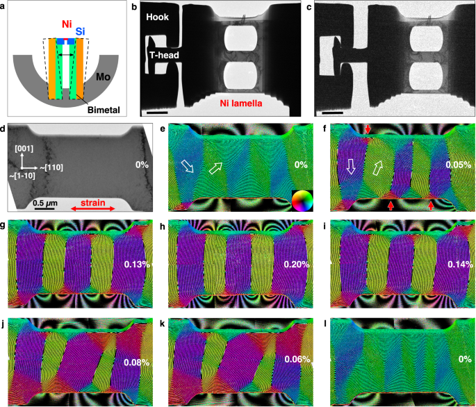 Fig. 1: Direct measurement of magnetostriction in a Ni nanostructure.