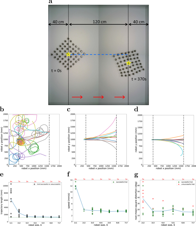 Fig. 2: Physical experiment in which Kilobot Soft Robots of size S ∈ {1 × 1, 2 × 2, …, 7 × 7} are programmed to move straight for 120 cm in the absence of external feedback (10 trials per robot size).