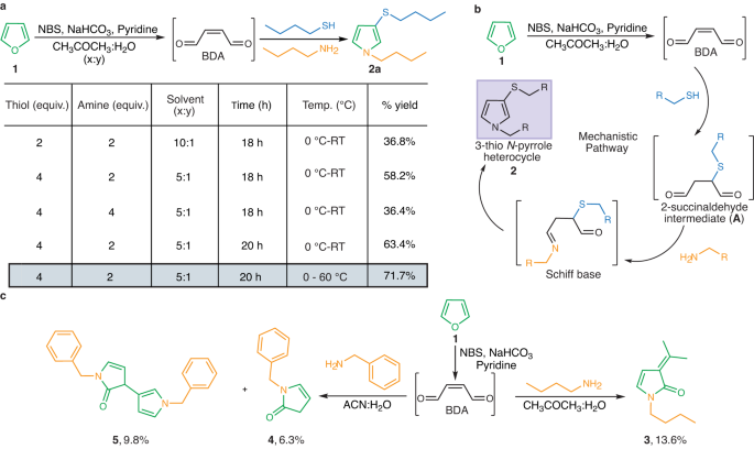 Fig. 2: Development of one-pot furan-thiol-amine (FuTine) multicomponent reaction (MCR).