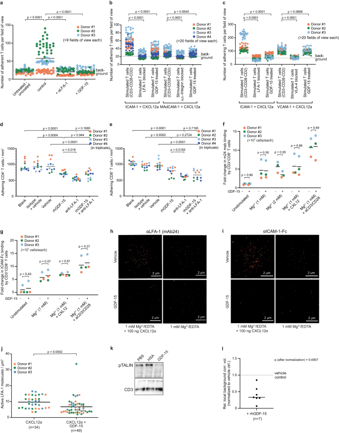 Fig. 2: GDF-15 interferes with LFA-1-dependent adhesion of human T cells.