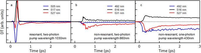 Fig. 3: Ultrafast time dynamics of DT spectral features.