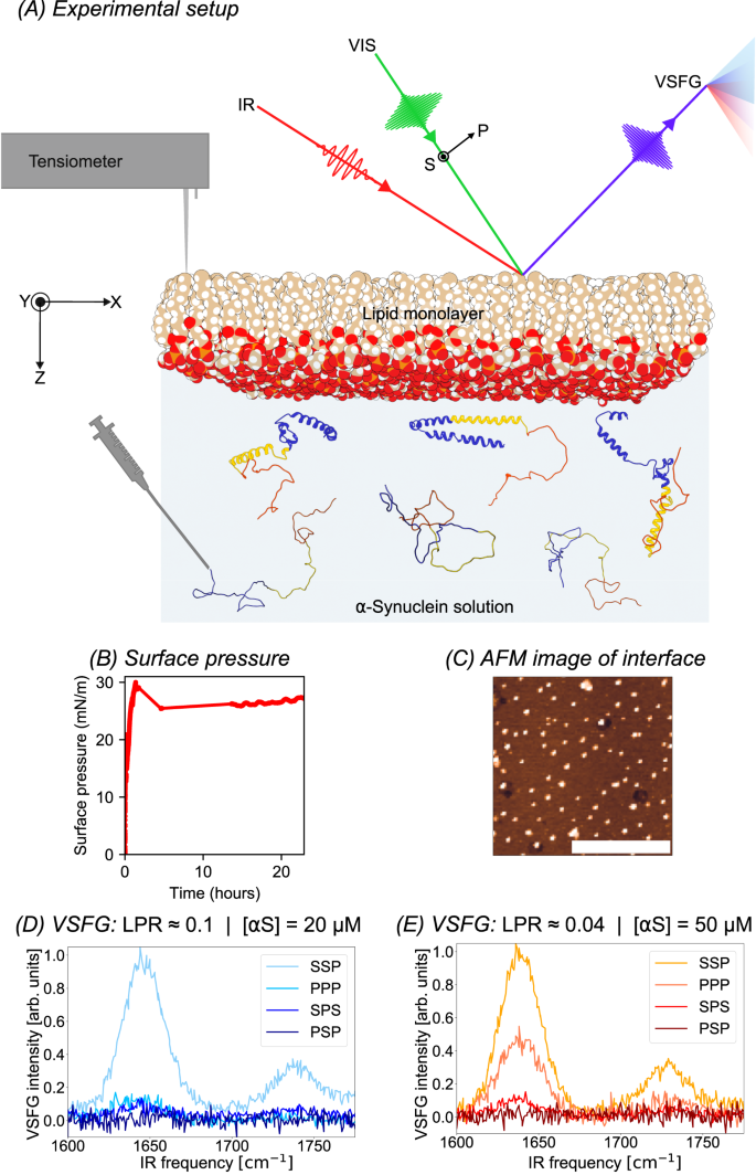 Fig. 1: Overview of the experimental setup and main experimental results.