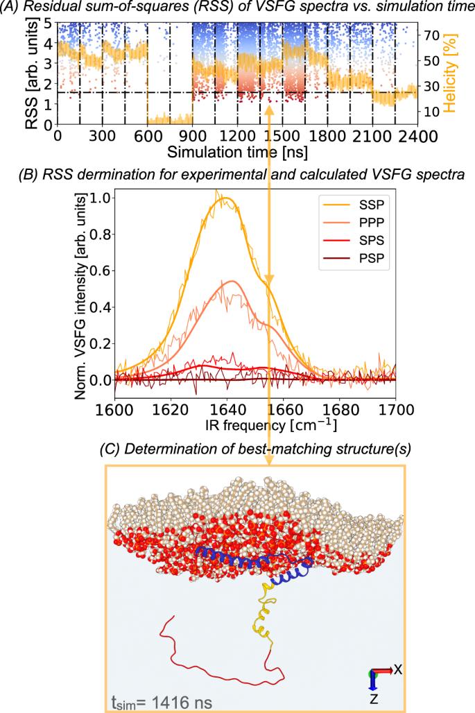 Fig. 2: Example of frame-selection with the ViscaSelect algorithm (see “Code availability” section) on the MD simulation trajectories of αS&nbsp;near a DPPG lipid interface, using VSFG spectroscopy and spectral calculations.