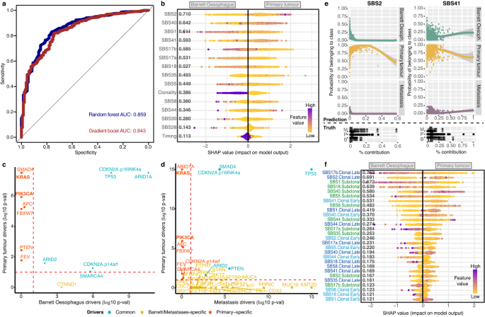 Fig. 4: Mutational processes and driver events distinguishing primary tumours from Barrett Oesophagus genomes.