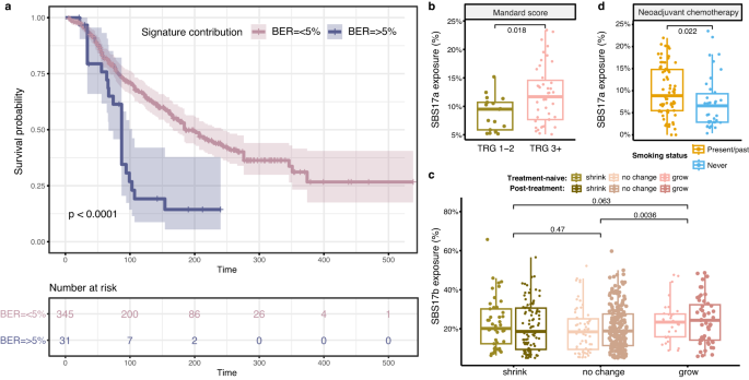 Fig. 7: Associations between mutational signatures and clinical outcomes.