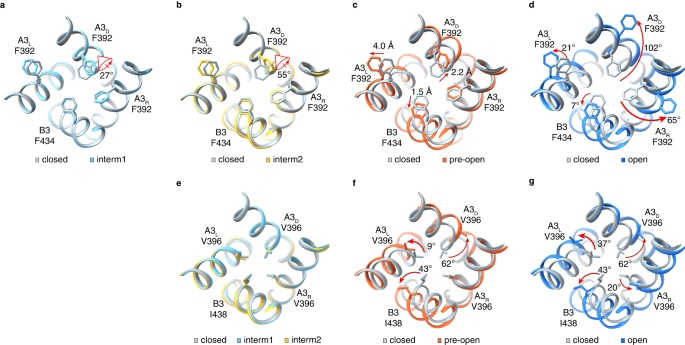 Fig. 5: Gradual opening of the cavity gate.