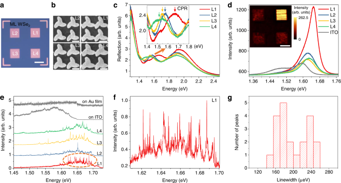 Fig. 2: Coupling between chiral plasmon resonance and single quantum emitters.