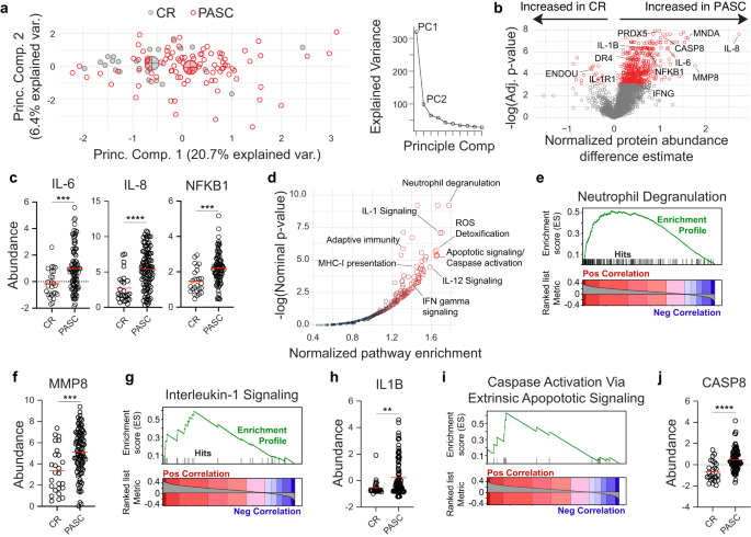 Fig. 1: Inflammatory protein signatures in PASC.