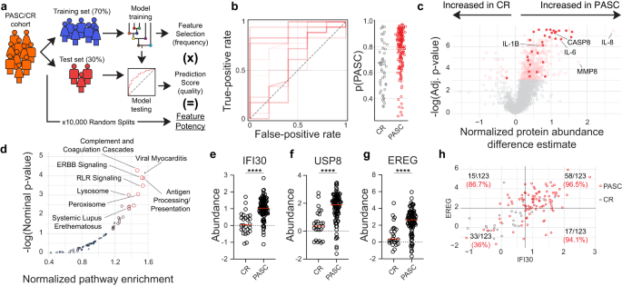 Fig. 2: RF modeling identifies PASC features.